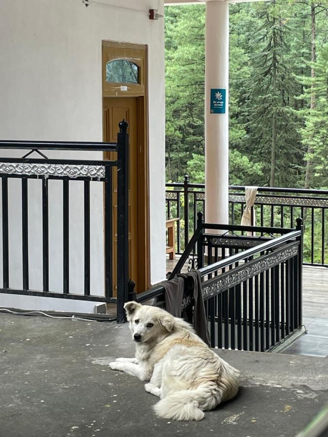 Wabi Sabi Riverside Hostel Kasol Exterior photo